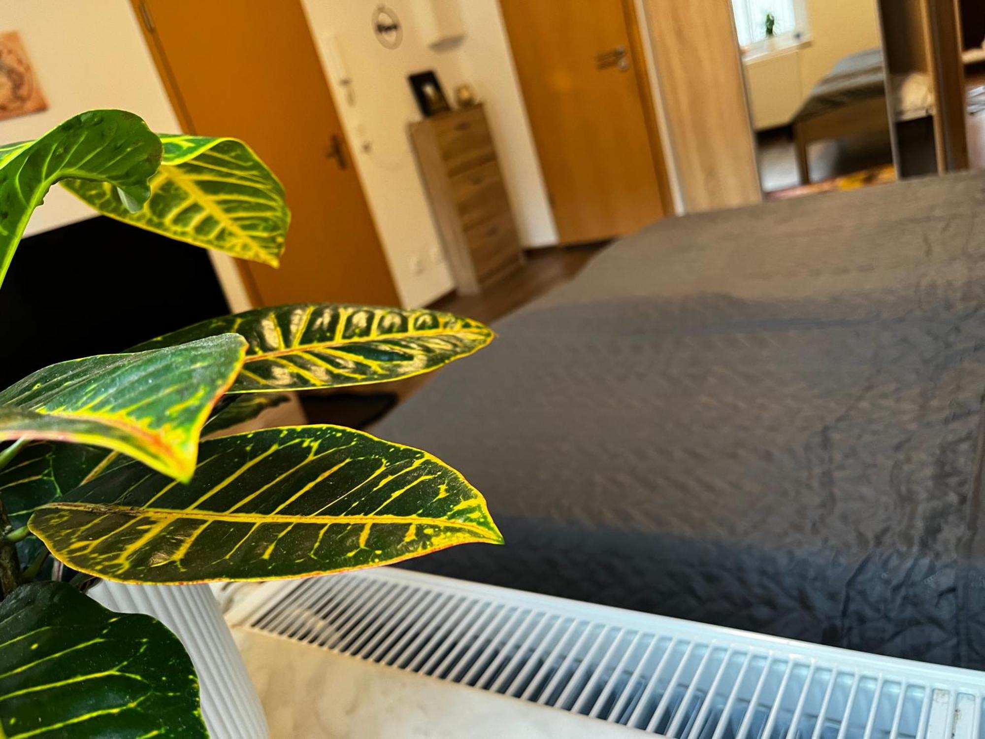 Karli'S Plaetzchen Lägenhet Gera Exteriör bild